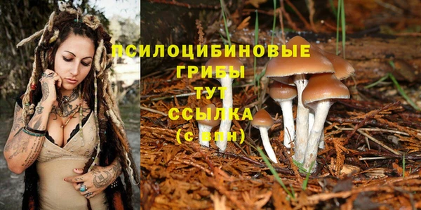 каннабис Абинск