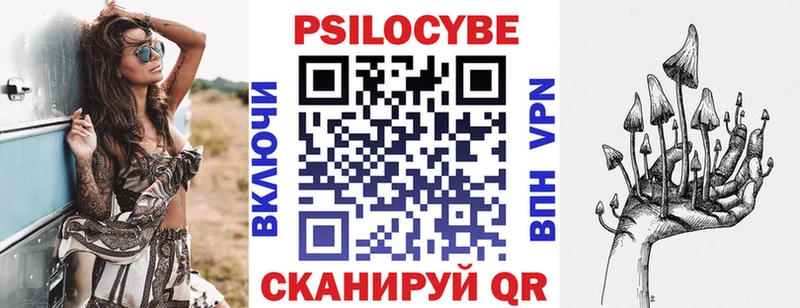 цены   Орск  Галлюциногенные грибы Cubensis 